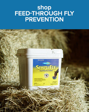 Shop Feed-Through Fly Prevention